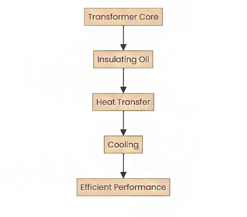 Transformer Structure and Function: